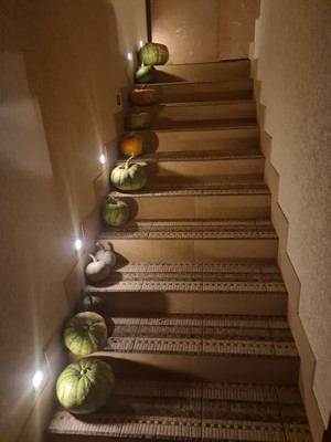 Объект по адресу Москва, Марфино д 