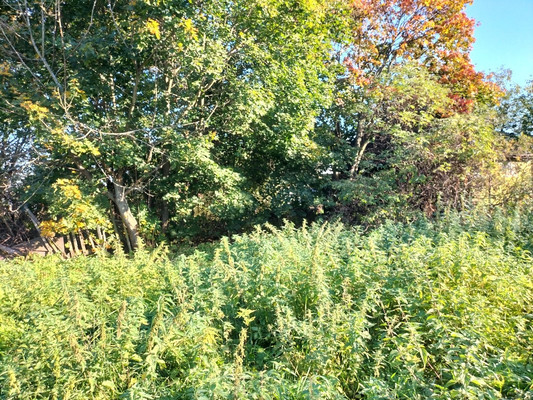 Объект по адресу Москва, Щедрино д 