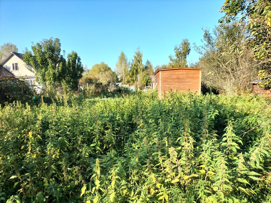 Объект по адресу Москва, Щедрино д 