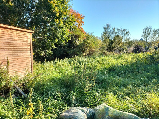 Объект по адресу Москва, Щедрино д 