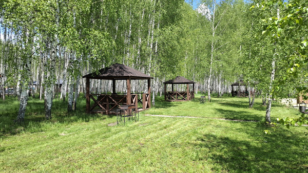 Объект по адресу Московская обл, Ступинский р-н, Мышенское с, Новая ул
