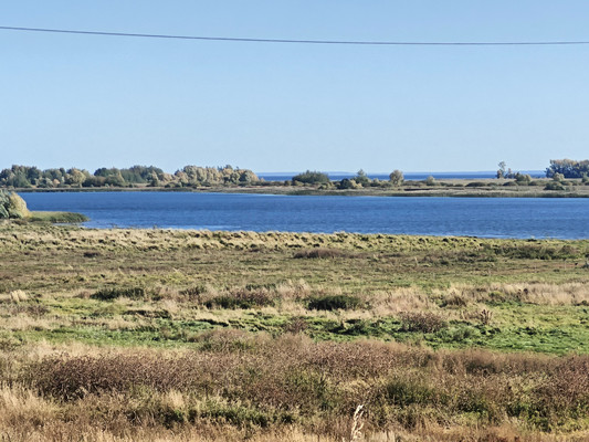 Объект по адресу Москва, Ташкирмень с 
