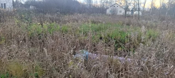 Объект по адресу Ленинградская обл, Гатчинский р-н, Новый Свет п, Массив 52 Северная ул, д. 29