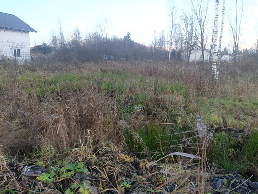 Объект по адресу Ленинградская обл, Гатчинский р-н, Новый Свет п, Массив 52 Северная ул, д. 29