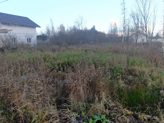 Объект по адресу Ленинградская обл, Гатчинский р-н, Новый Свет п, Массив 52 Северная ул, д. 29