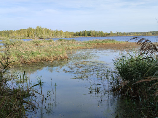 Объект по адресу Московская обл, Шатурский р-н, Шатурторф п