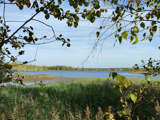 Объект по адресу Московская обл, Шатурский р-н, Шатурторф п