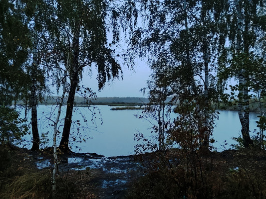 Объект по адресу Московская обл, Шатурский р-н, Шатурторф п