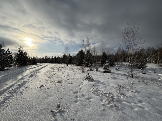 Объект по адресу Челябинская обл, Каслинский р-н, Воскресенское с, Демидова ул