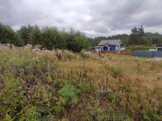 Объект по адресу Москва, Аньялово д, 36 