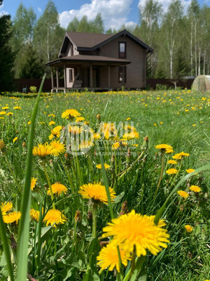 Объект по адресу Московская обл, Клин г, Селевино д, Тарная ул, д. 17