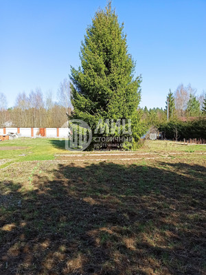 Объект по адресу Московская обл, Клин г, Селевино д, Тарная ул, д. 17