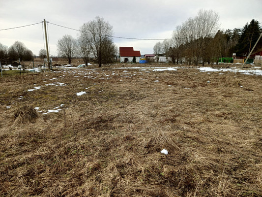 Объект по адресу Ленинградская обл, Гатчинский р-н, Луйсковицы д, Медовая ул, д. 6
