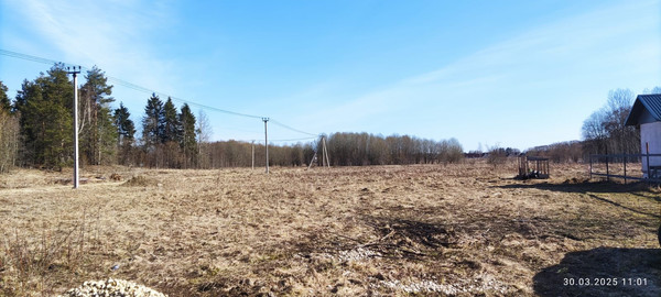 Объект по адресу Ленинградская обл, Гатчинский р-н, Луйсковицы д, Медовая ул, д. 2
