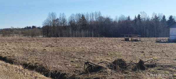 Объект по адресу Ленинградская обл, Гатчинский р-н, Луйсковицы д, Медовая ул, д. 2
