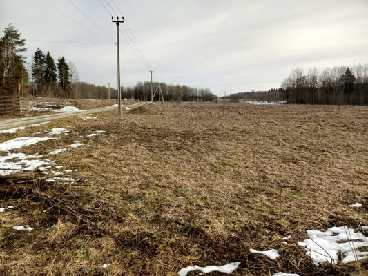 Объект по адресу Ленинградская обл, Гатчинский р-н, Луйсковицы д, Медовая ул, д. 2