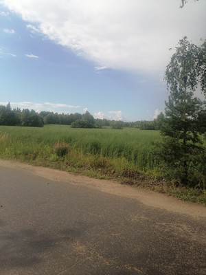 Объект по адресу Москва, Ручьи п 