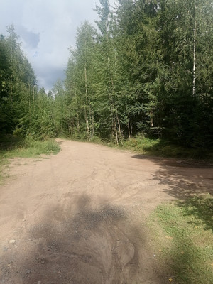 Объект по адресу Москва, Ручьи п 