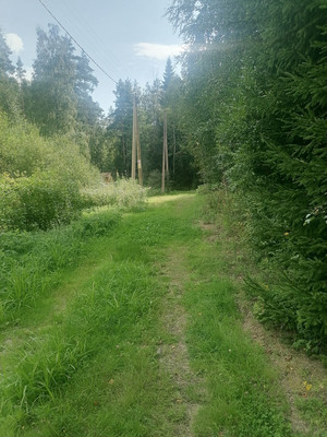 Объект по адресу Москва, Ручьи п 