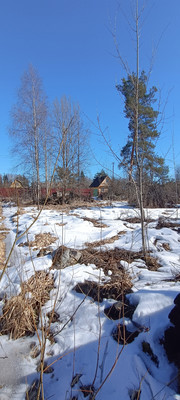 Объект по адресу Ленинградская обл, Лужский р-н, Массив Мшинская тер, ЛОС тер. СНТ