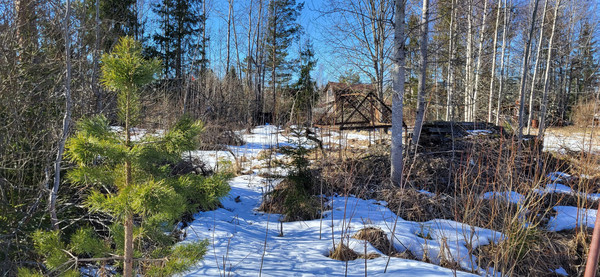 Объект по адресу Ленинградская обл, Лужский р-н, Массив Мшинская тер, ЛОС тер. СНТ