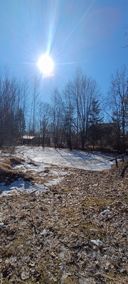 Объект по адресу Ленинградская обл, Лужский р-н, Массив Мшинская тер, ЛОС тер. СНТ