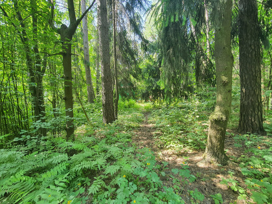 Объект по адресу Московская обл, Кратово дп, Комиссарова ул, д. 36