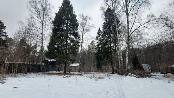Объект по адресу Москва, Молодой Ленинец (Кучино мкр.) ул, 12 