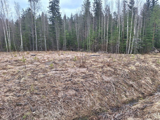 Объект по адресу Москва, Сампо тер. СНТ 