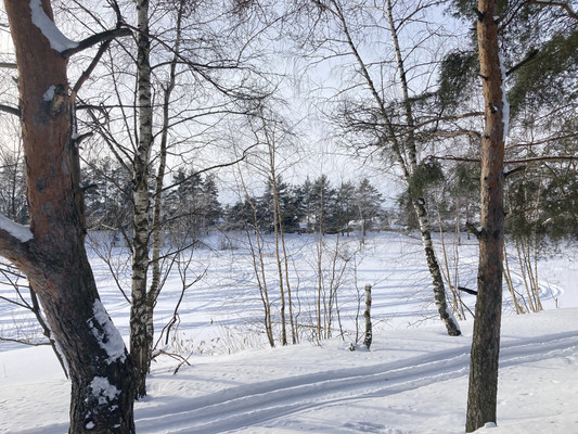 Объект по адресу Москва, Кузяево д 