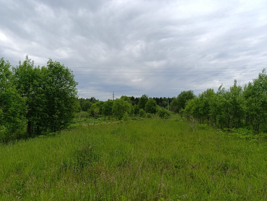 Объект по адресу Москва, Старые Раглицы д 