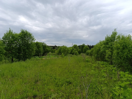 Объект по адресу Москва, Старые Раглицы д 