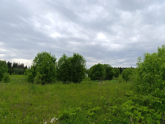 Объект по адресу Москва, Старые Раглицы д 