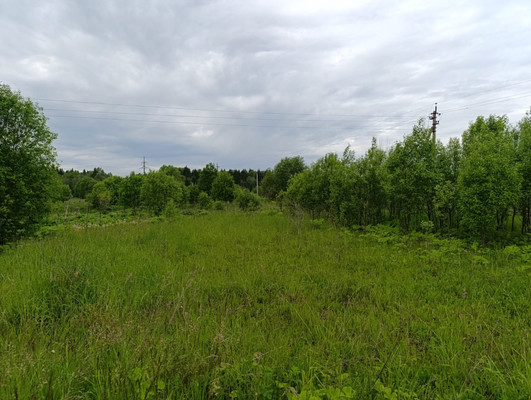 Объект по адресу Москва, Старые Раглицы д 