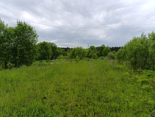 Объект по адресу Москва, Старые Раглицы д 