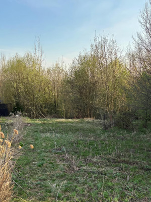 Объект по адресу Москва, Поярково д 