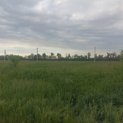 Объект по адресу Краснодарский край, Белореченский р-н, Родники п, Мира ул