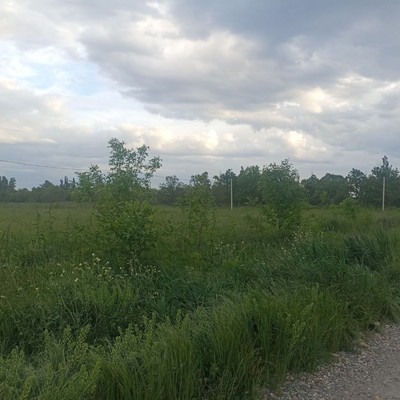 Объект по адресу Краснодарский край, Белореченский р-н, Родники п, Мира ул