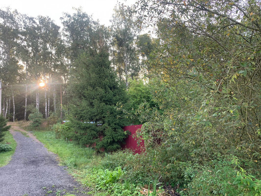 Объект по адресу Москва, Керамик (Белые Столбы мкр.) тер. СНТ 