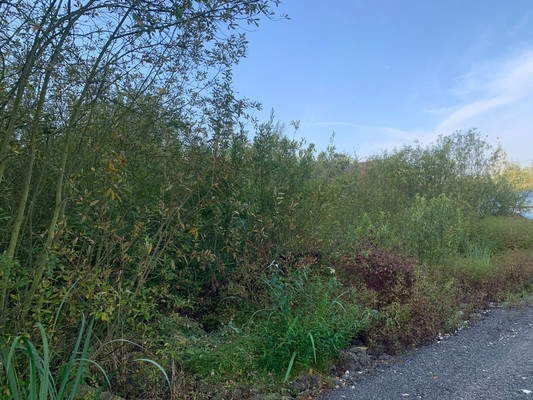 Объект по адресу Москва, Керамик (Белые Столбы мкр.) тер. СНТ 