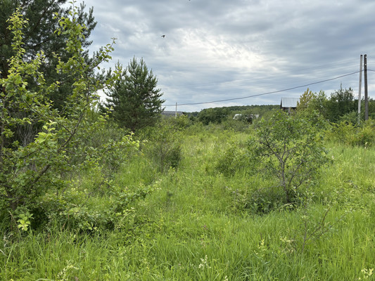 Объект по адресу Москва, Радуга Казанской швейной фабрики N 1 тер. СНТ 