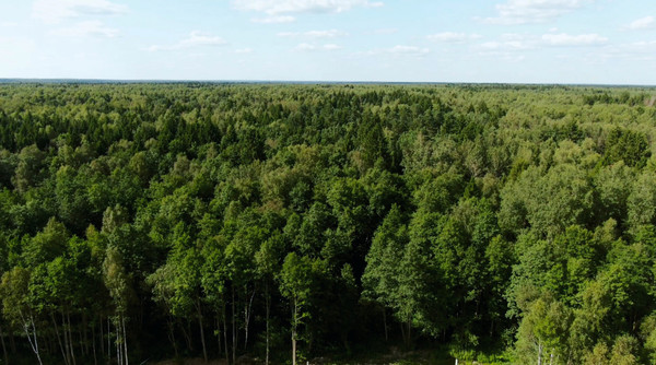 Объект по адресу Московская обл, Наро-Фоминский р-н, Шапкино д, СНТ Экология тер
