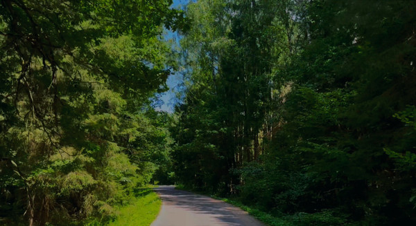 Объект по адресу Московская обл, Наро-Фоминский р-н, Шапкино д, СНТ Экология тер