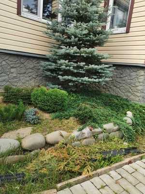 Объект по адресу Москва, Нагуша тер. СНТ, 60 