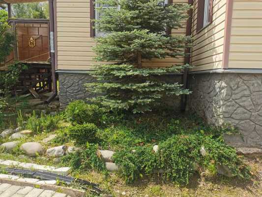 Объект по адресу Москва, Нагуша тер. СНТ, 60 