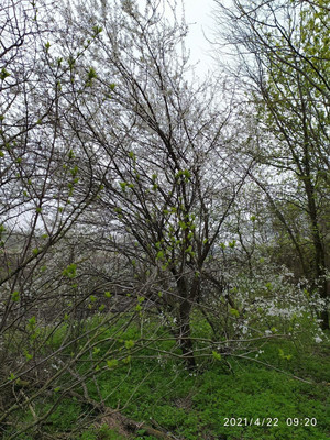 Объект по адресу Москва, Мира ул, 24 