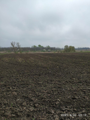 Объект по адресу Москва, Мира ул, 24 