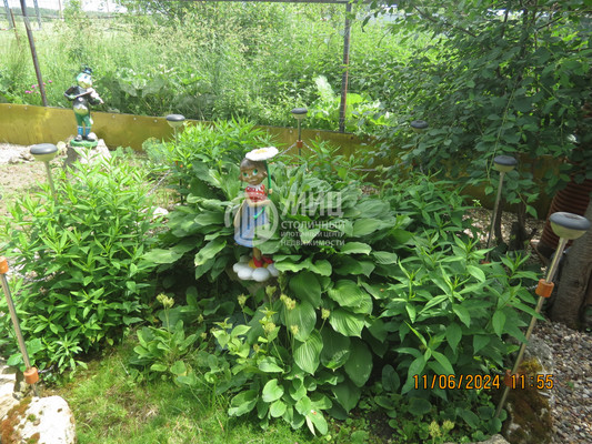 Объект по адресу Москва, Зеленая ул, 124/1 