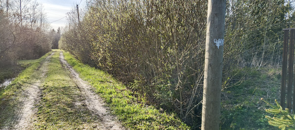 Объект по адресу Ленинградская обл, Гатчинский р-н, Массив Корписалово тер, Аграрная ул