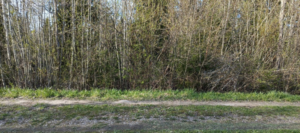 Объект по адресу Ленинградская обл, Гатчинский р-н, Массив Корписалово тер, Аграрная ул